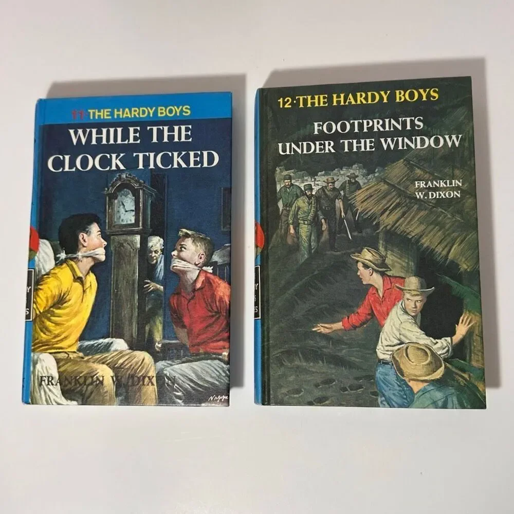 The Hardy Boys this series